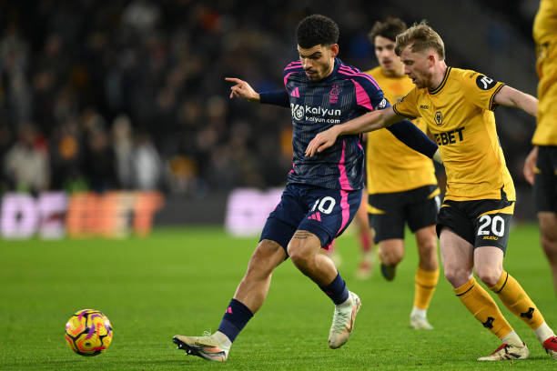 双方都有机 双方都有机