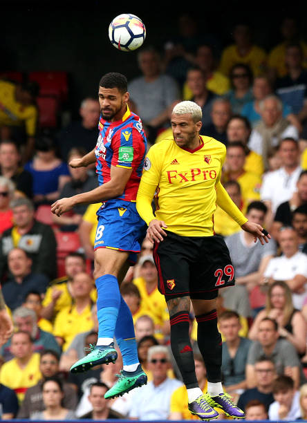 对阵荷兰球 对阵荷兰球